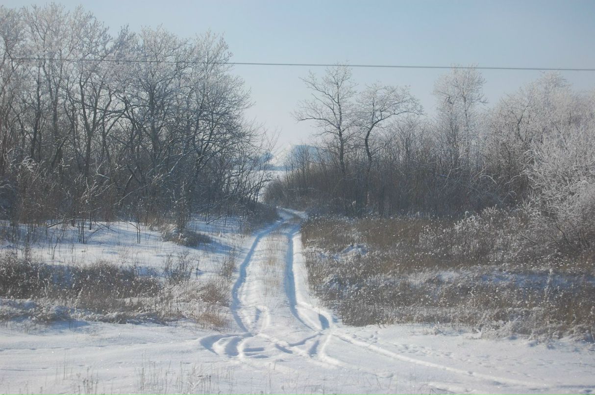 Константин Смирнов Александрович | Санкт-Петербург