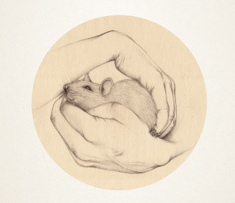 Анастасия Киселёва | Москва