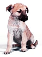 Надежда Сокур | Днепр (Днепропетровск)