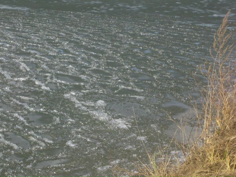 Юрий Калашинский 