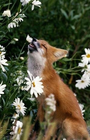 Юлия Степанова | Санкт-Петербург