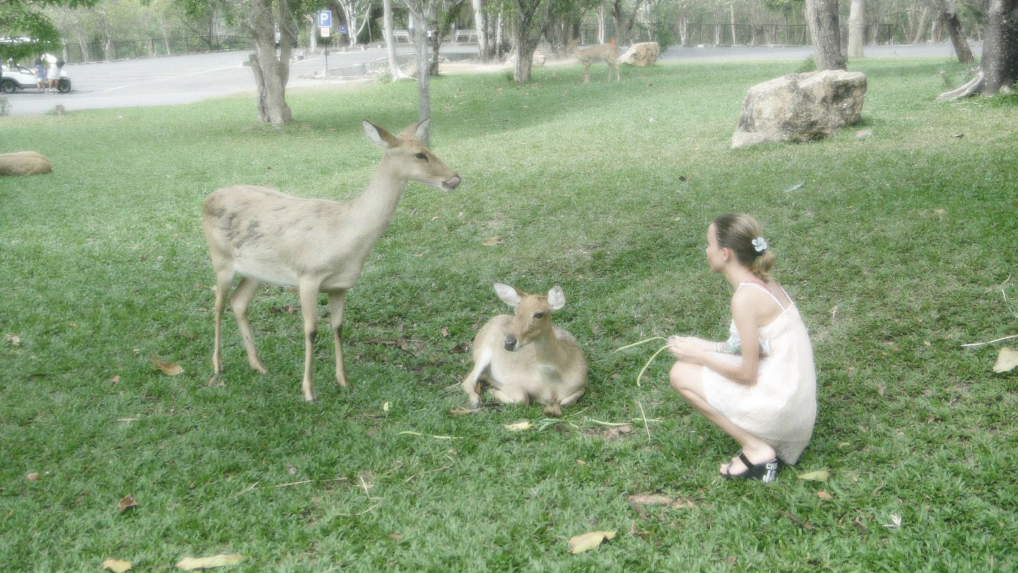 Марина Иванова [новая страница] | Хабаровск