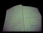 №13, Саша Сергеева, Санкт-Петербург, Россия