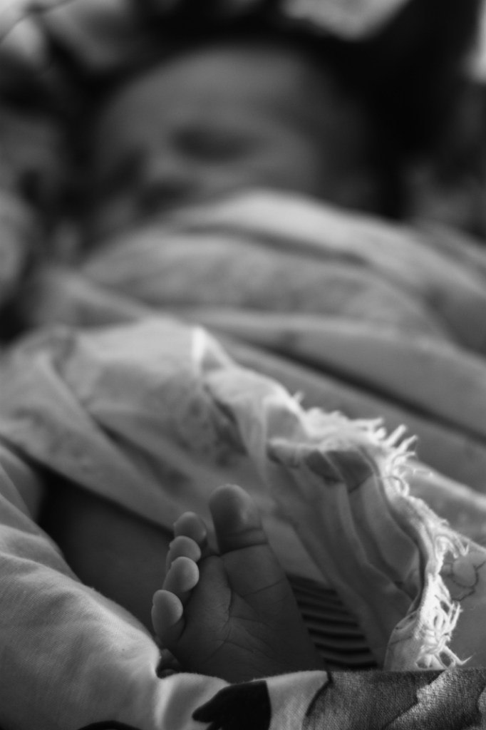 Андрей Максимов | Владимир