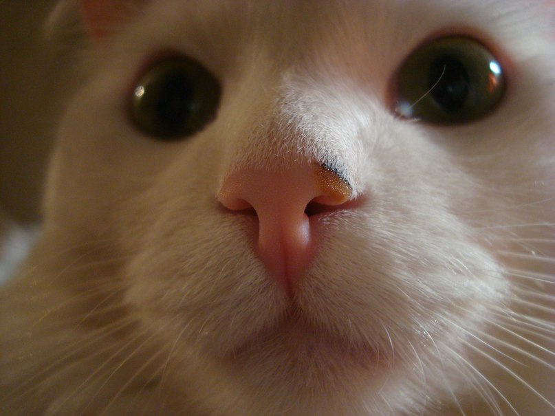 Александра Безрук | 