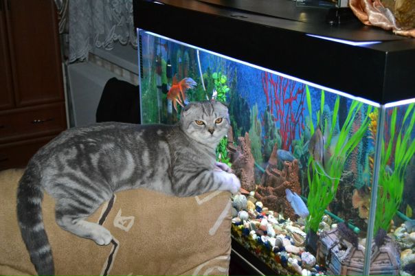 №29, Игорь Поняев, 49 лет, Санкт-Петербург №29, Игорь Поняев, 49 лет, Санкт-Петербург