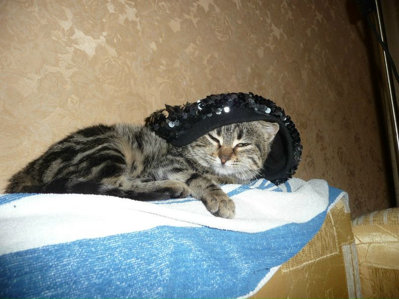 Руслана Богданова | Ростов-на-Дону