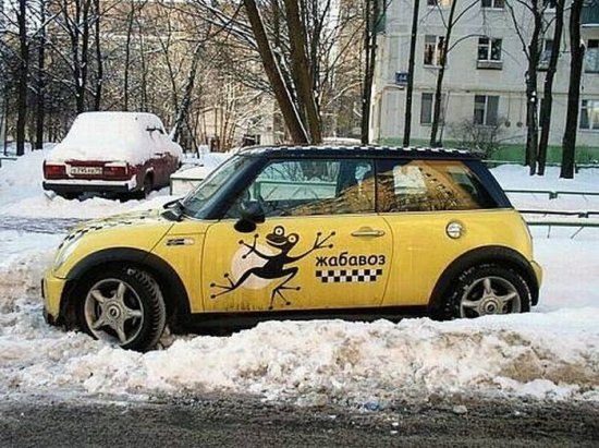 Дмитрий Курьян | 