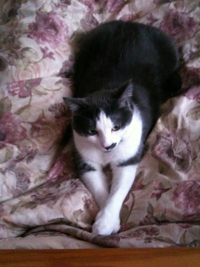 Аня Пилипович | Киев