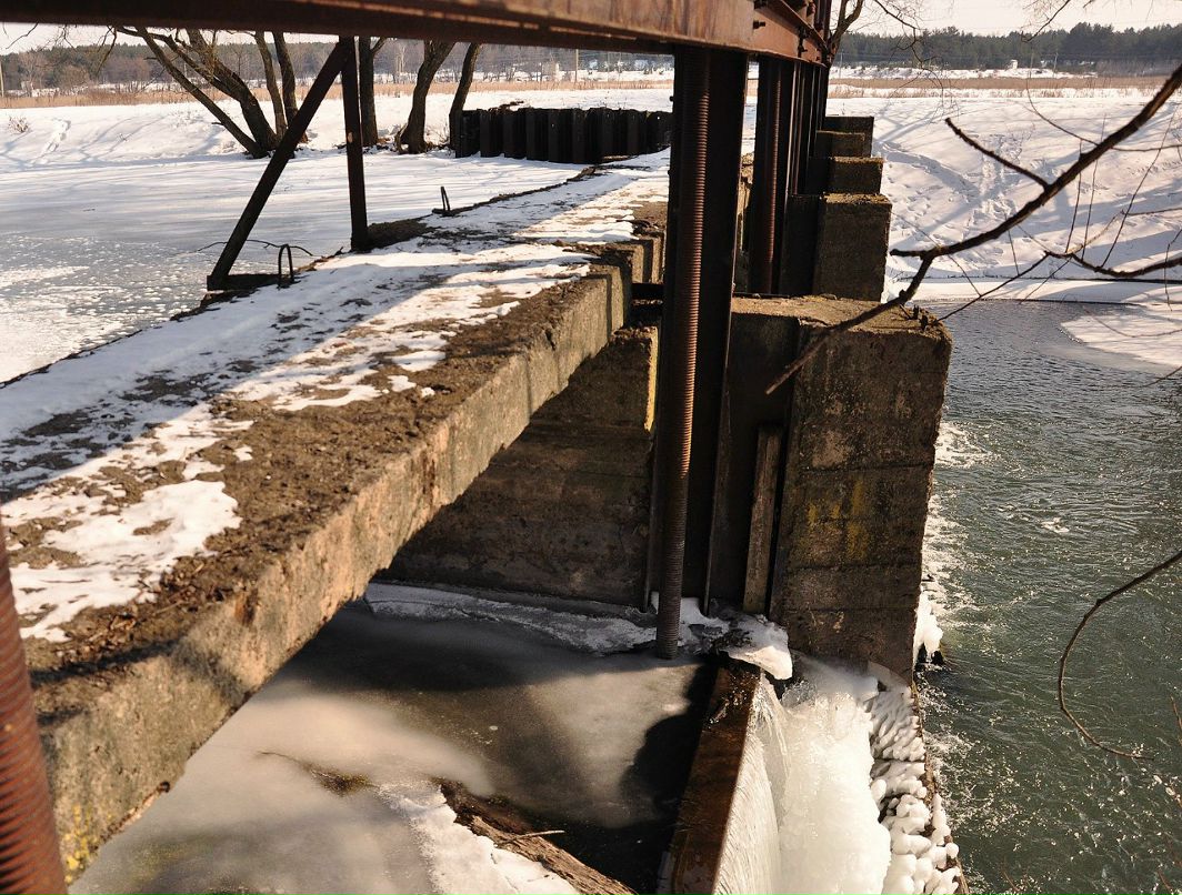 Ирина Войт | Старый Оскол