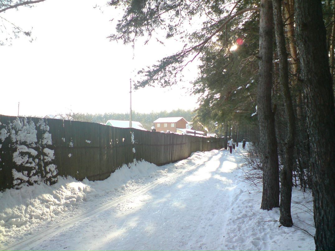 Дмитрий Шедогубов | Раменское