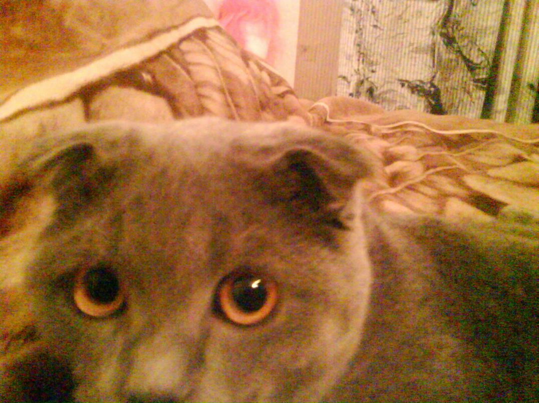 Дмитрий Костогрыз | Киев