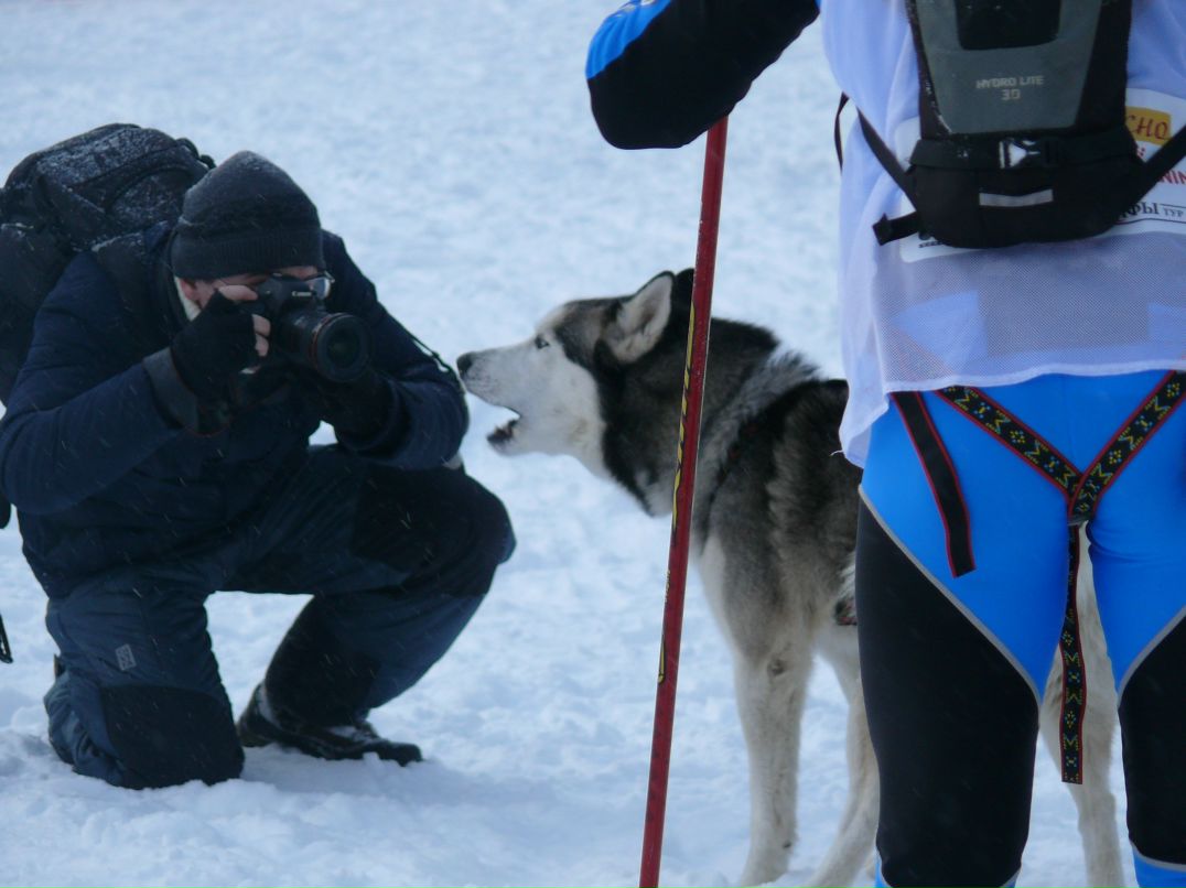 Екатерина Виноградова | Петрозаводск