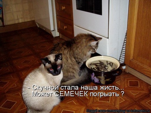 Марина Васильева | Санкт-Петербург