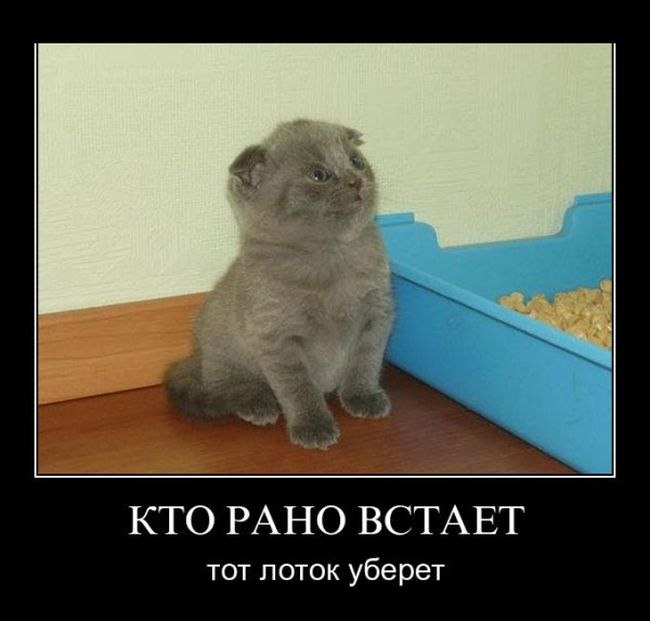 Алина Олейник | Винница