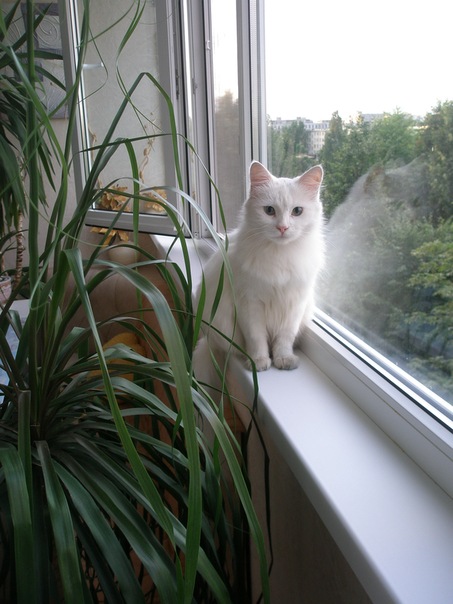 №38, Вика Бычкова, 33 года, München №38, Вика Бычкова, 33 года, München