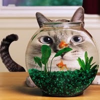 №81, Anna Radchenko, 36 лет, Киев №81, Anna Radchenko, 36 лет, Киев