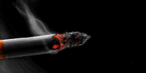 №16, Анечка Шеховцова, Харьков №16, Анечка Шеховцова, Харьков