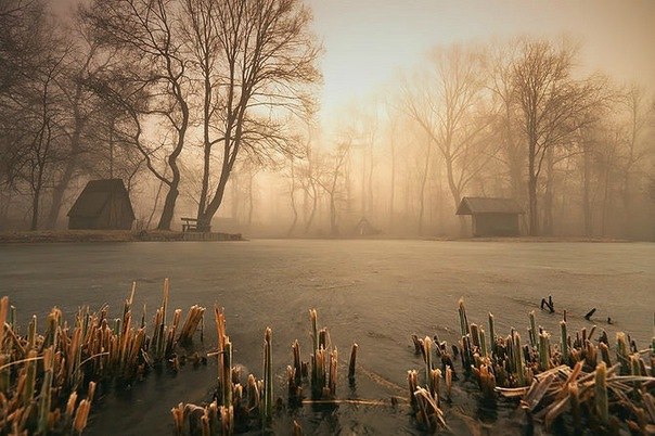 Алина Богданова | 