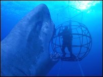 №12, Кирилл Джерелиевский №12, Кирилл Джерелиевский