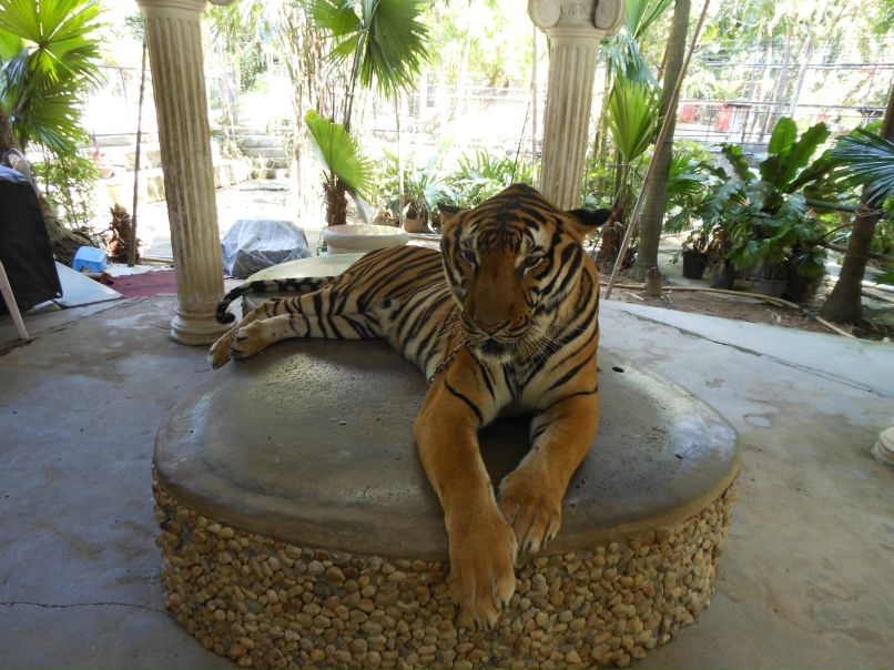 Игорь Филин | Москва