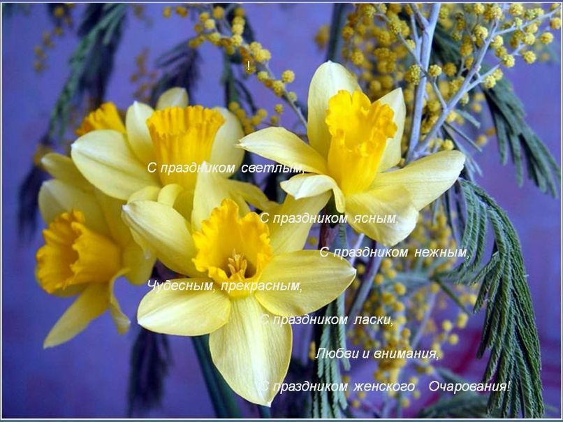 Таша Бровкина | Санкт-Петербург