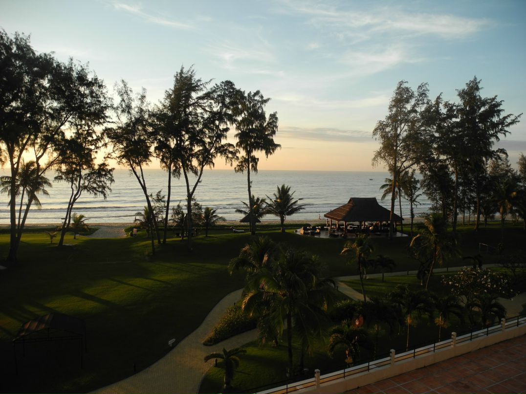 Hami Нгуен | Boise