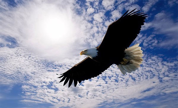 Агата Ульянова | Екатеринбург