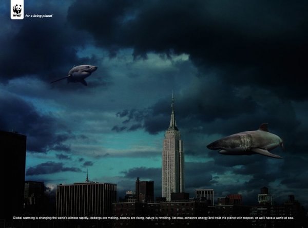 Вениамин Кукушин | Москва