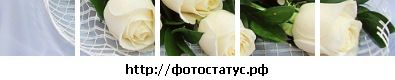 Фотография Максим Иванов