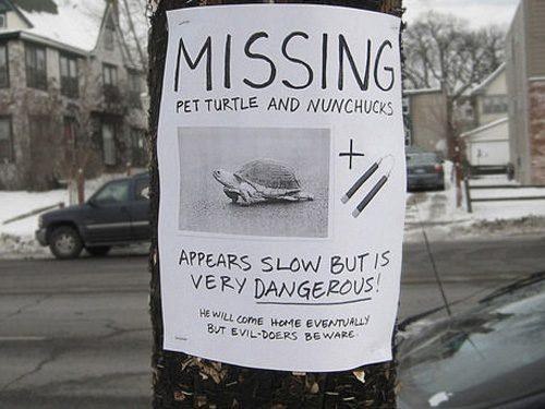 Алсу Низамова | 