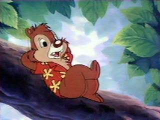 Вячеслав Асадов | Краснодар