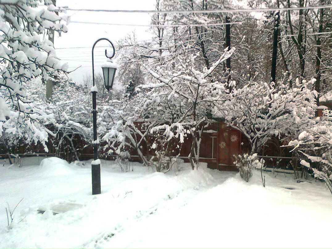 Золотая Рыбка | Москва