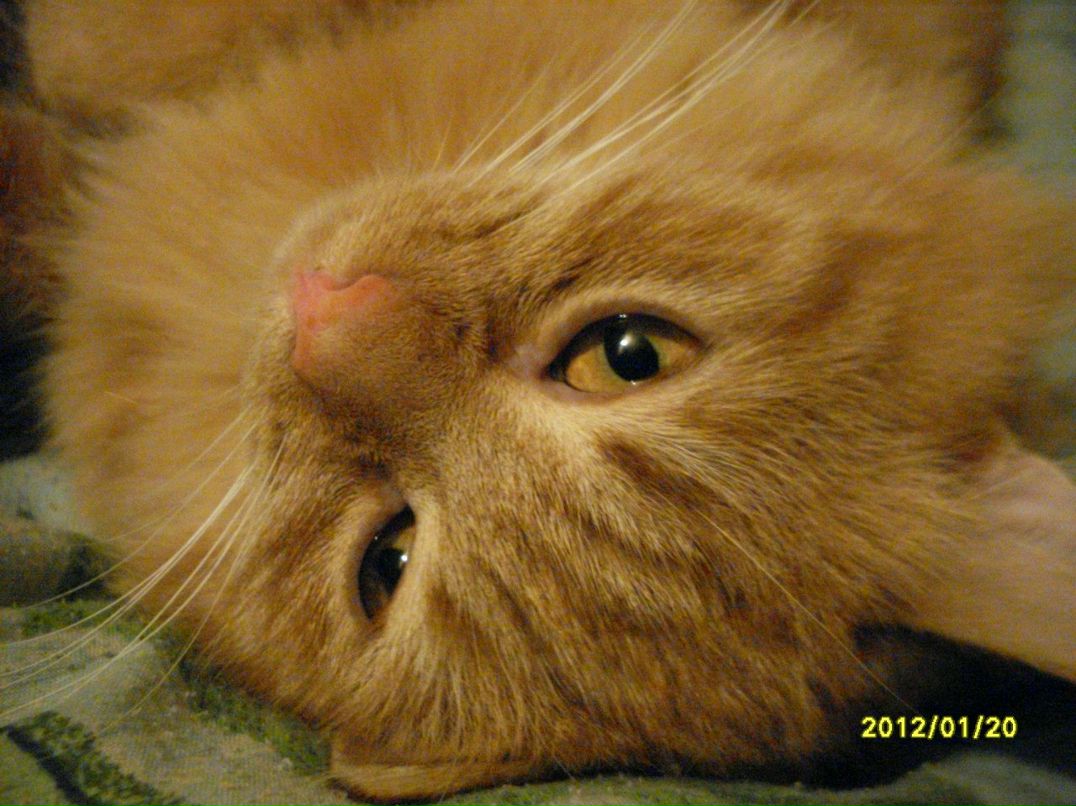 Екатерина Шарипова | Сочи