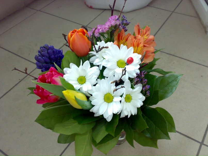 Маргарита Лушникова | Омск