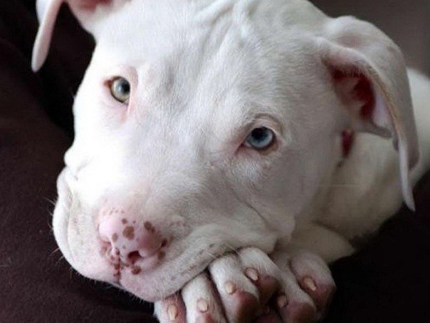 Серёга Гришков Владимирович | Николаев