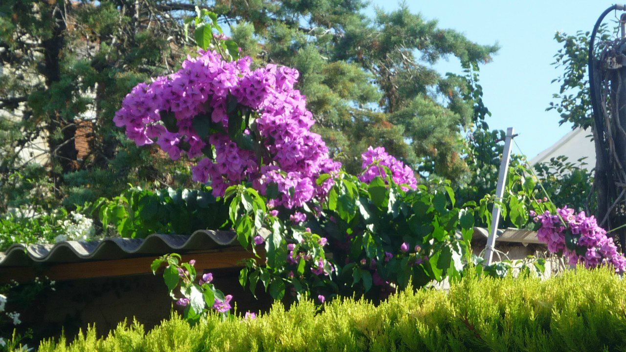 Юрий Юша | Ростов-на-Дону