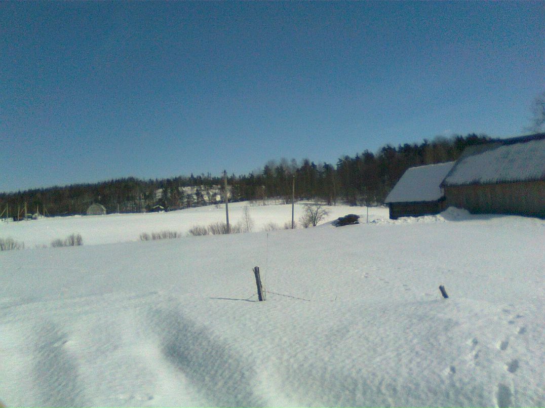 Роман Батенко | Санкт-Петербург