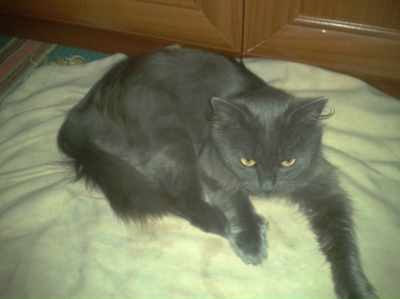 Серёга Рунич Непонятный | Каменец-Подольский