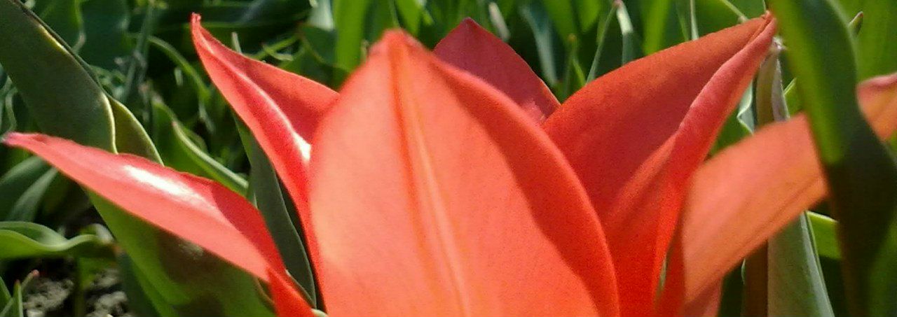 Анастасия Швайко ~♥~ in love (c) | Черкассы