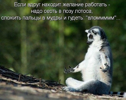 №187, Владислава Баглей, 40 лет, Санкт-Петербург №187, Владислава Баглей, 40 лет, Санкт-Петербург