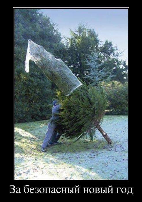 Владимир Малеев | Москва