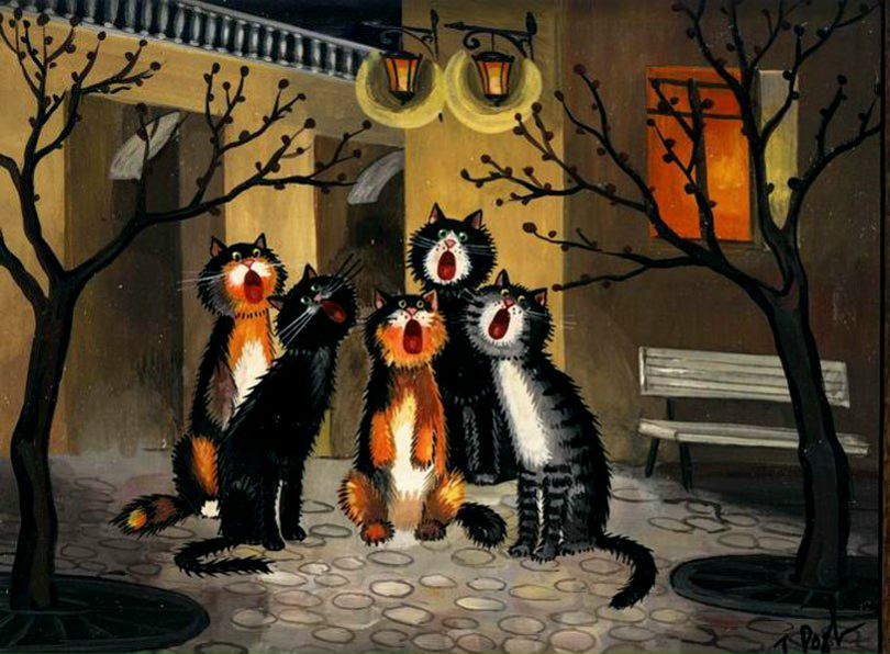 №59, Ольга Шкабарня, 38 лет №59, Ольга Шкабарня, 38 лет