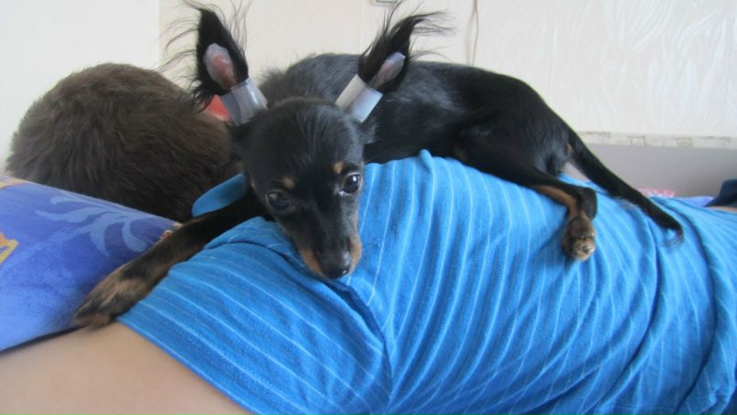 Наталья Груздева •ღ●♥ СЧАСТЛИВАЯ ♥●ღ• | Санкт-Петербург