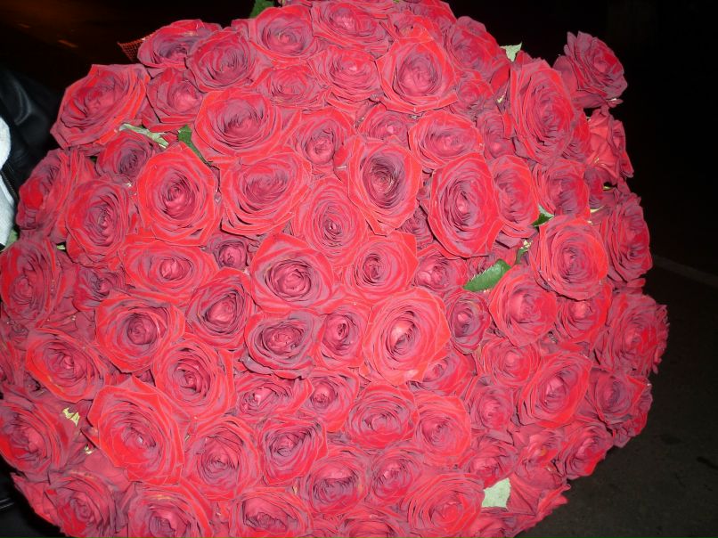 Катерина Андреева | Краснодар