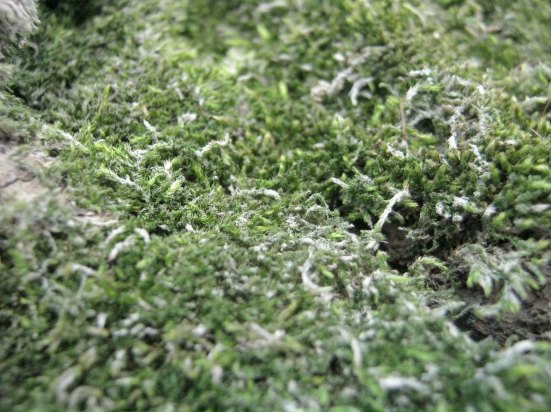 Николай Юрченко | Екатеринбург