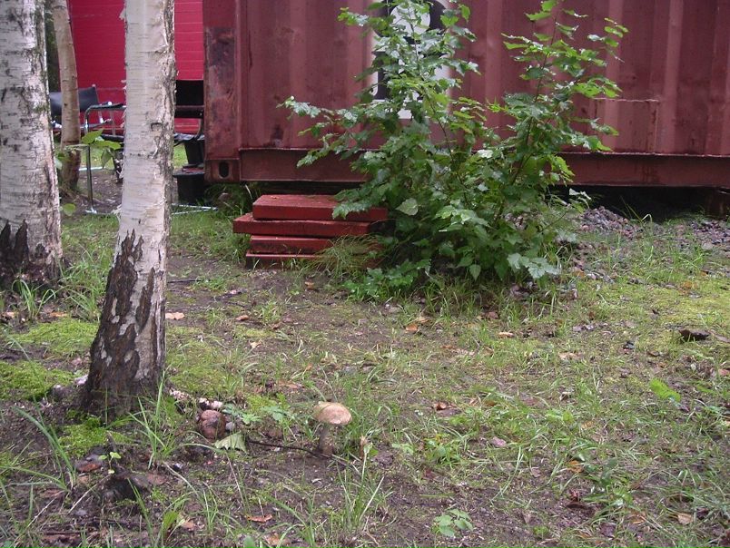 №93, Нина Подскробко, Санкт-Петербург, Россия №93, Нина Подскробко, Санкт-Петербург, Россия