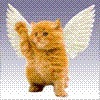 Аватар: Hfghnfdghfdcg Fcgmnfgmnfmghdg