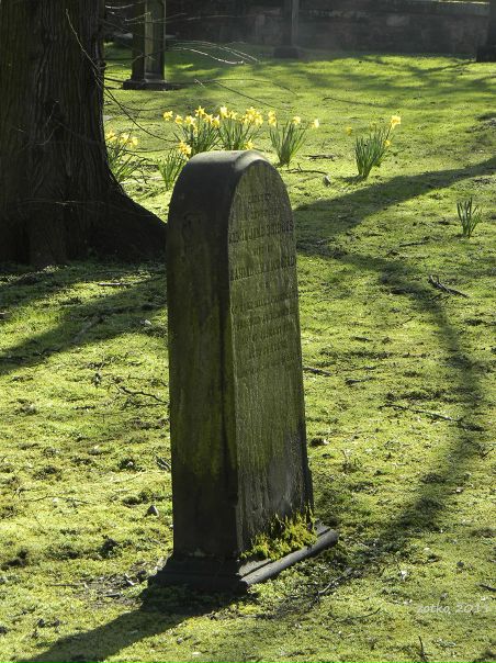 №91, Мария Зотько №91, Мария Зотько