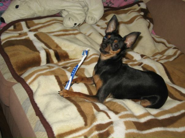 №42, Дмитрий Давыденко, 58 лет, Ярцево №42, Дмитрий Давыденко, 58 лет, Ярцево